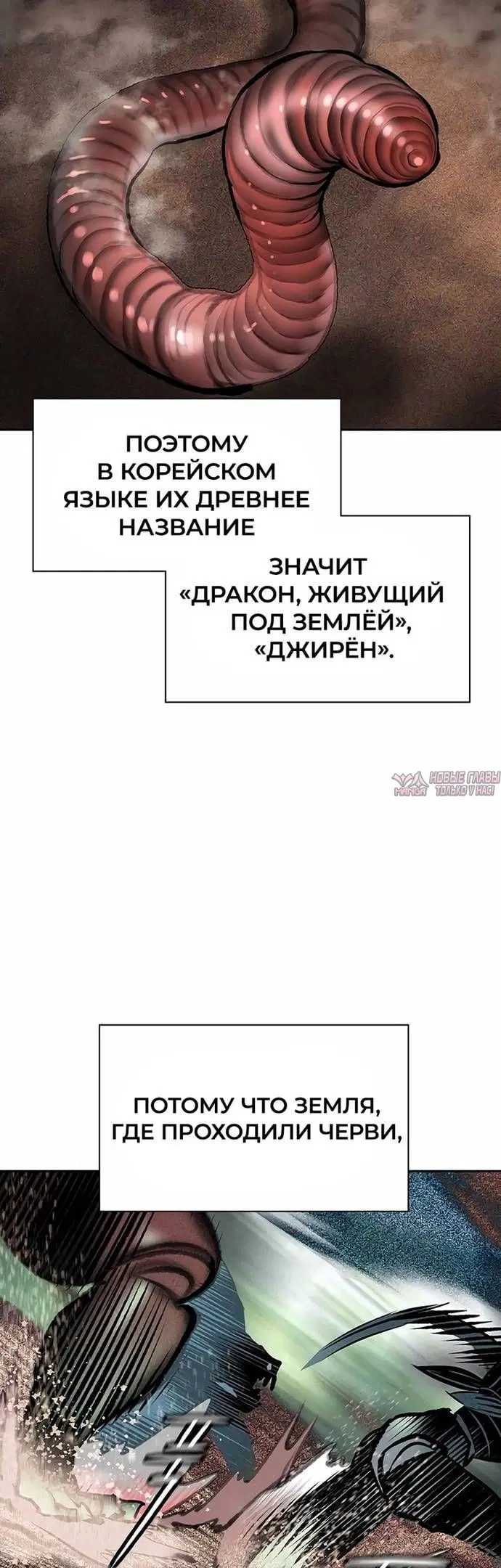 Page 49.000