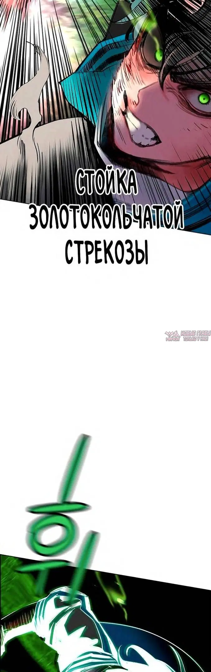 Page 40.000