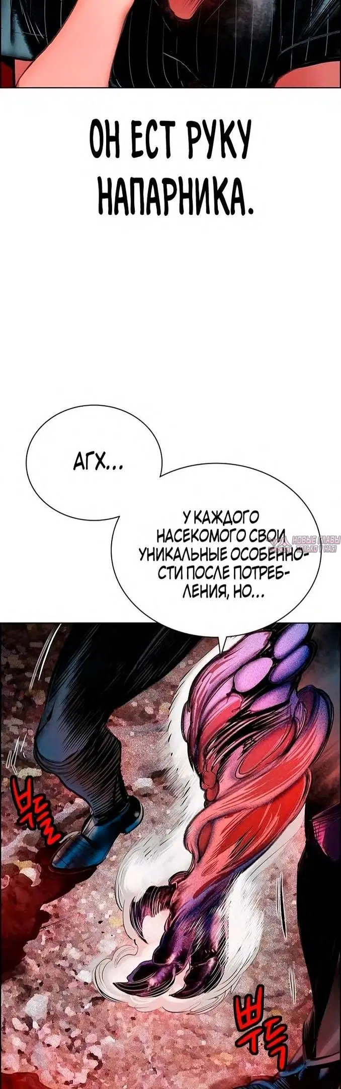 Page 41.000