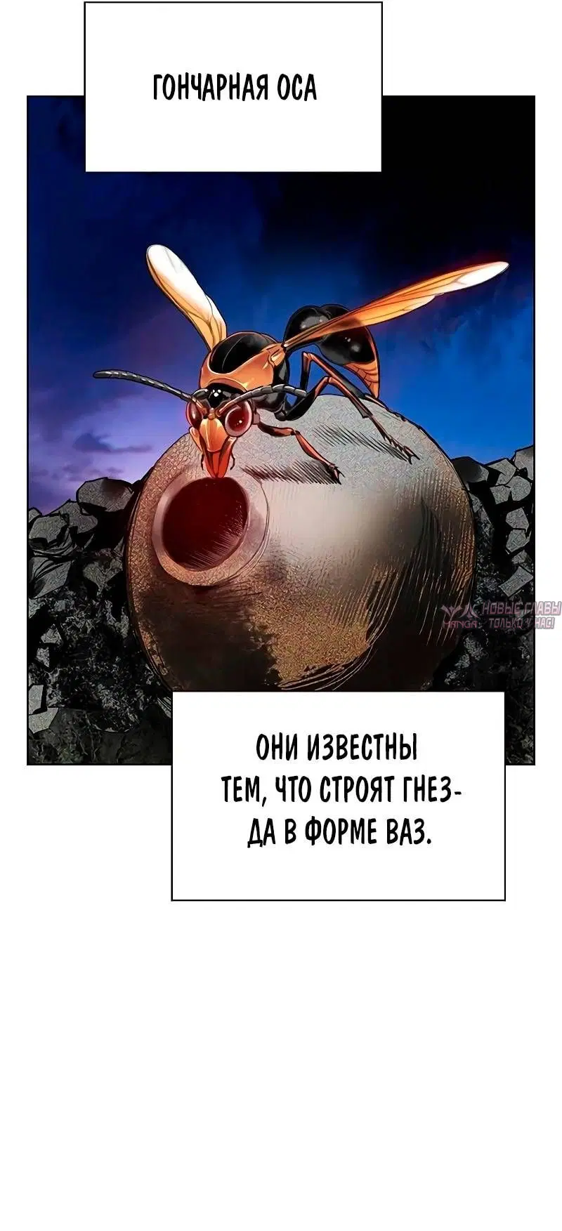 Page 59.000