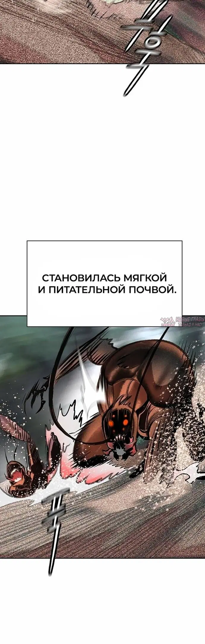 Page 50.000