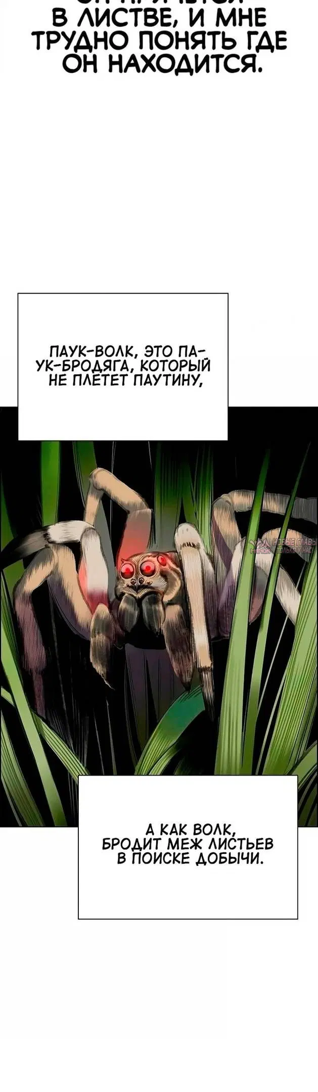Page 50.000