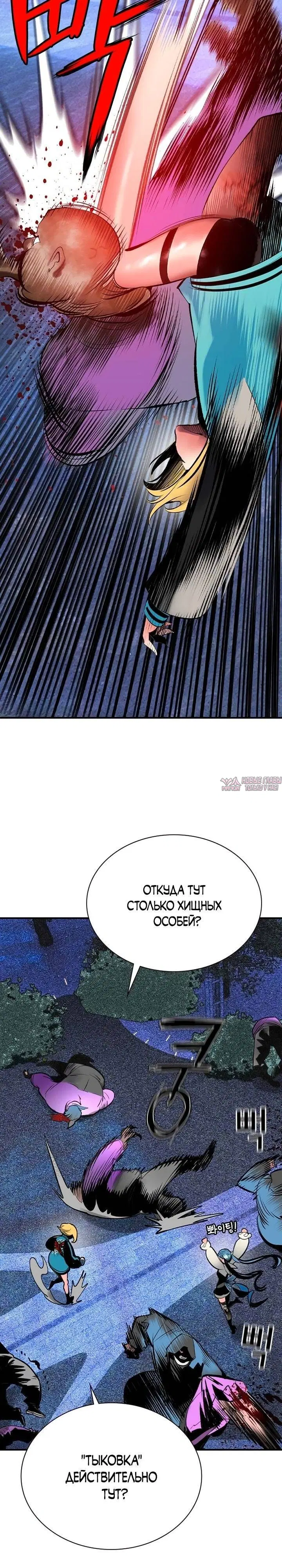 Page 50.000