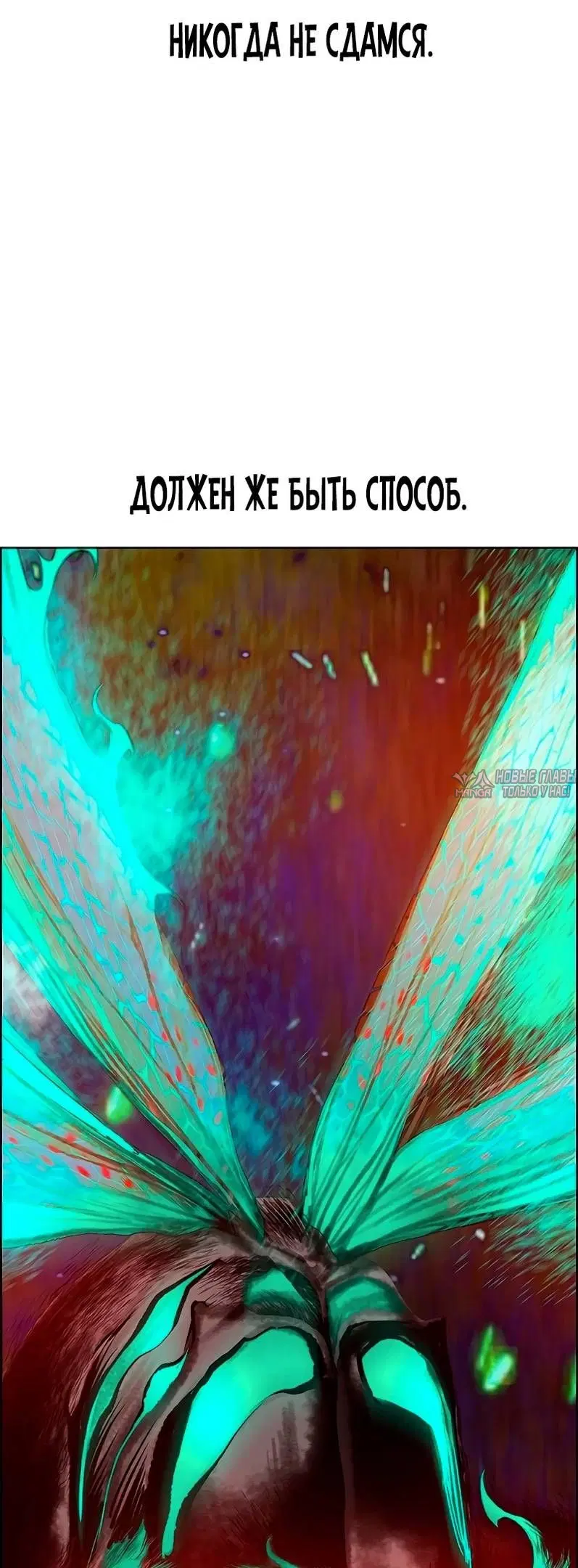Page 51.000