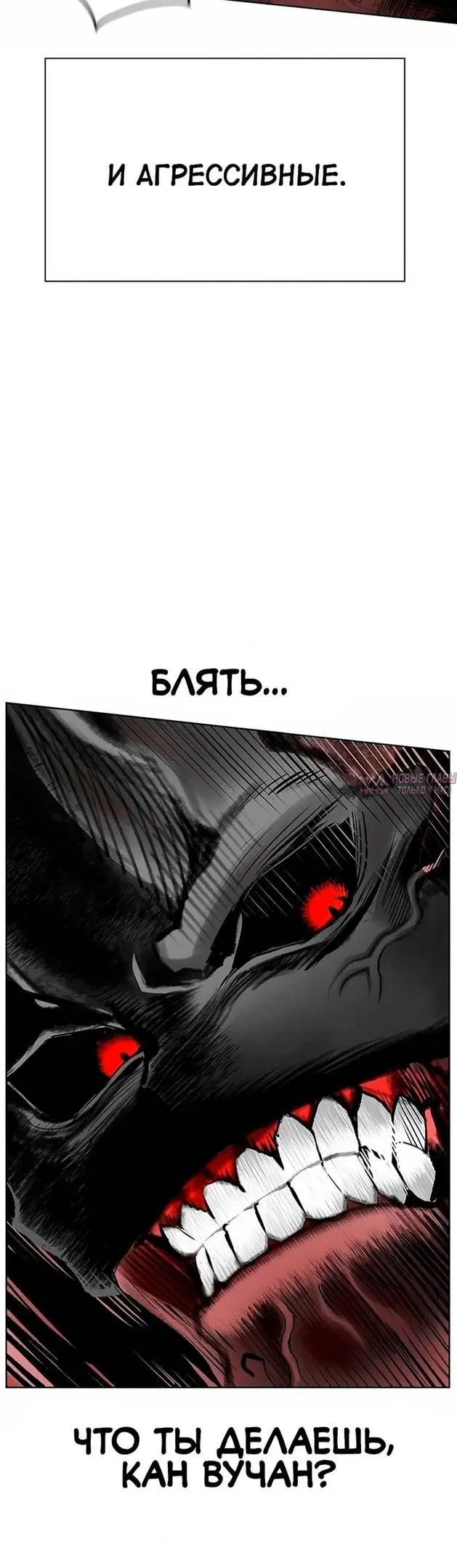 Page 53.000