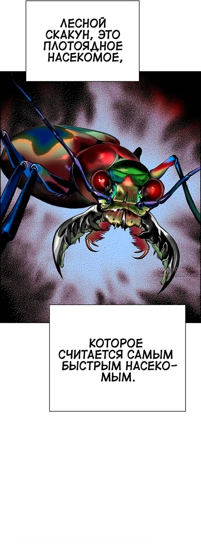 Page 69.000