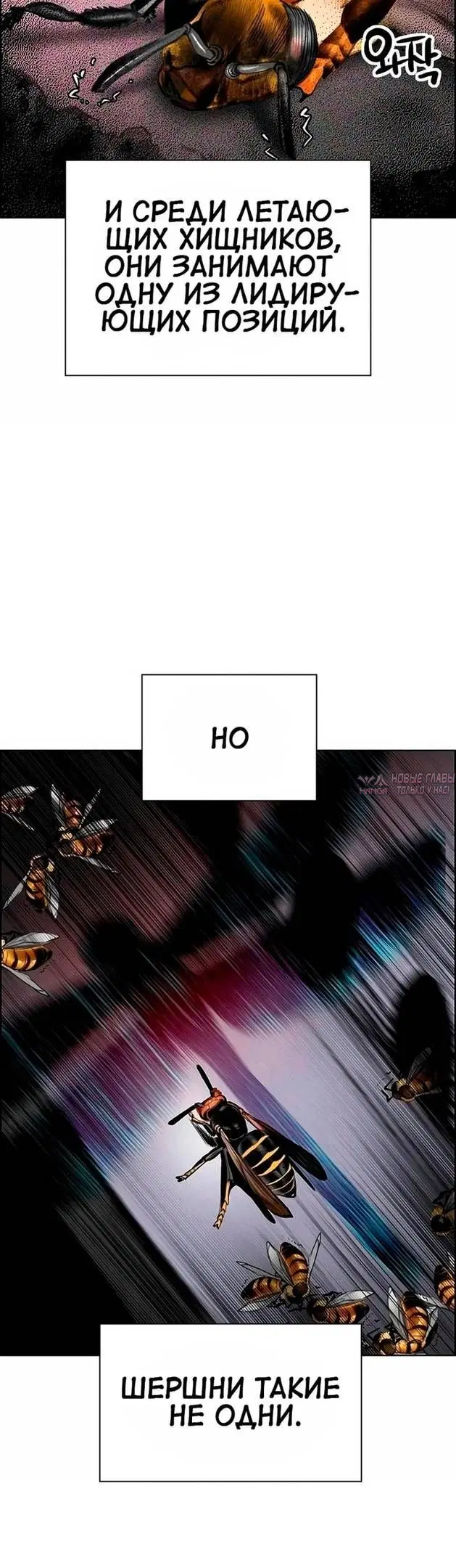 Page 91.000