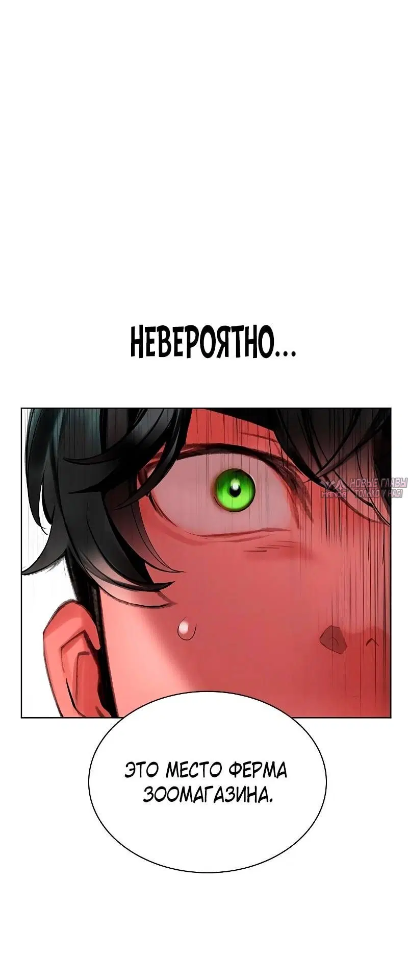 Page 102.000