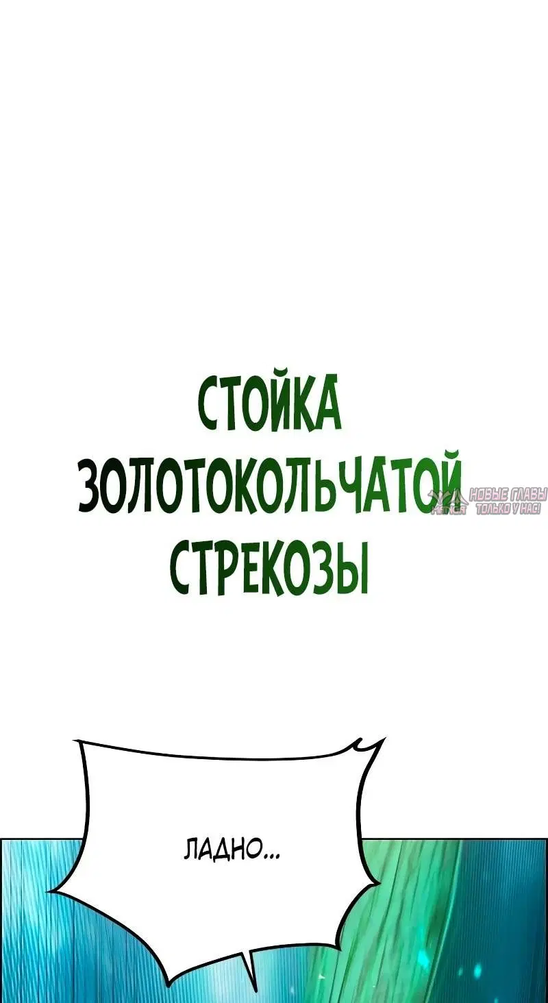 Page 119.000
