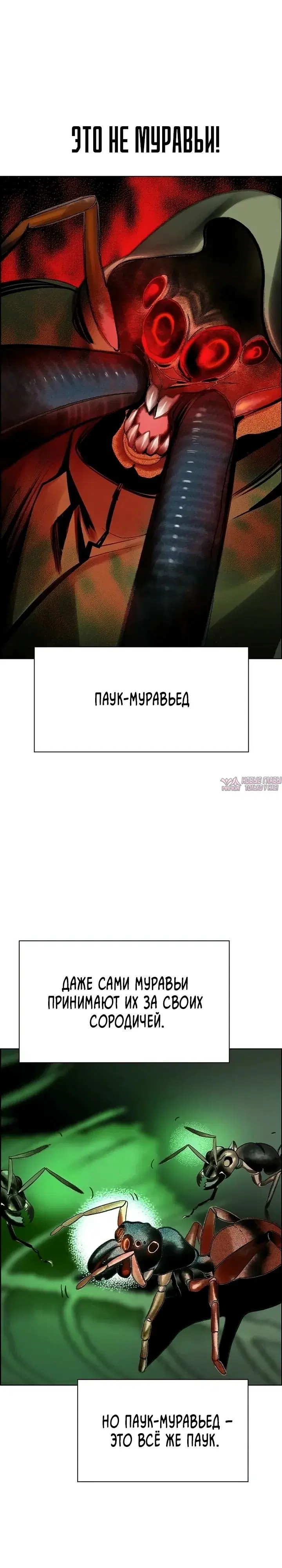 «Сок джунглей», глава 202, страница 46.000000000