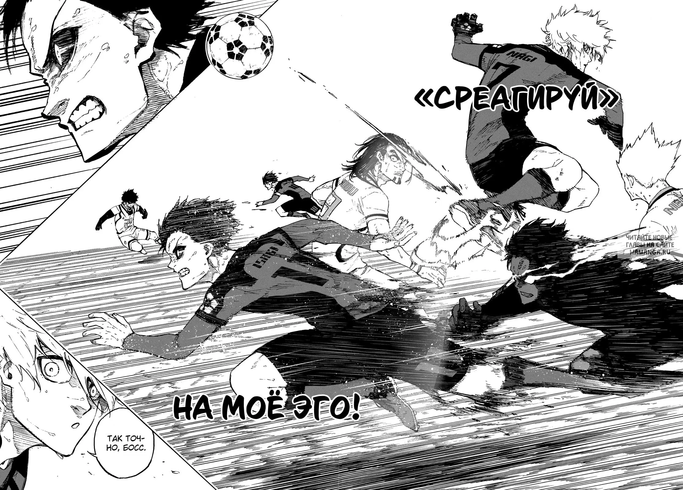 Page 16.000