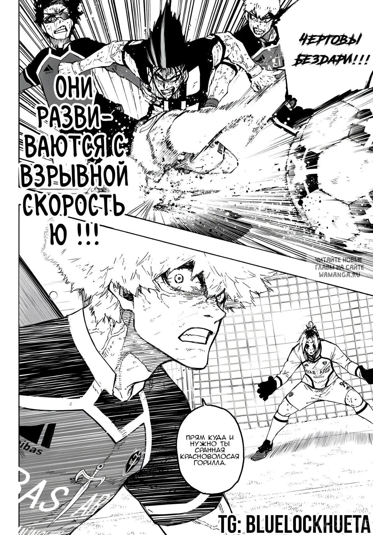 Page 16.000