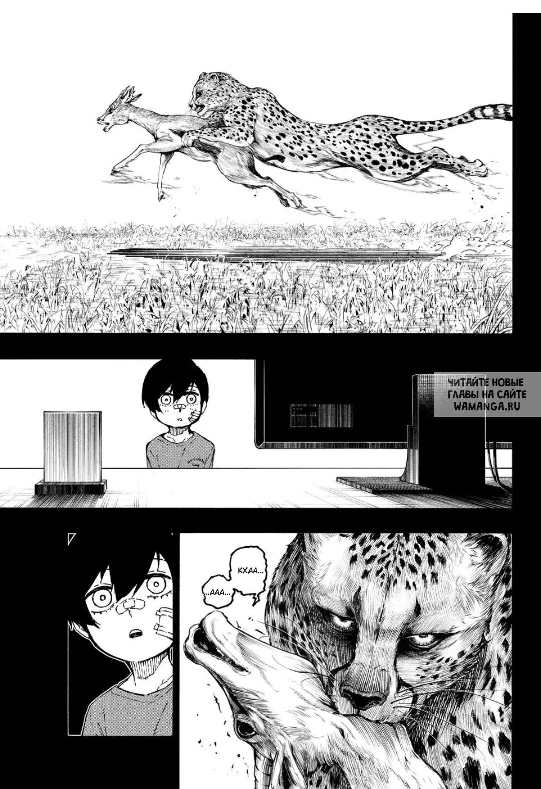 Page 11.000