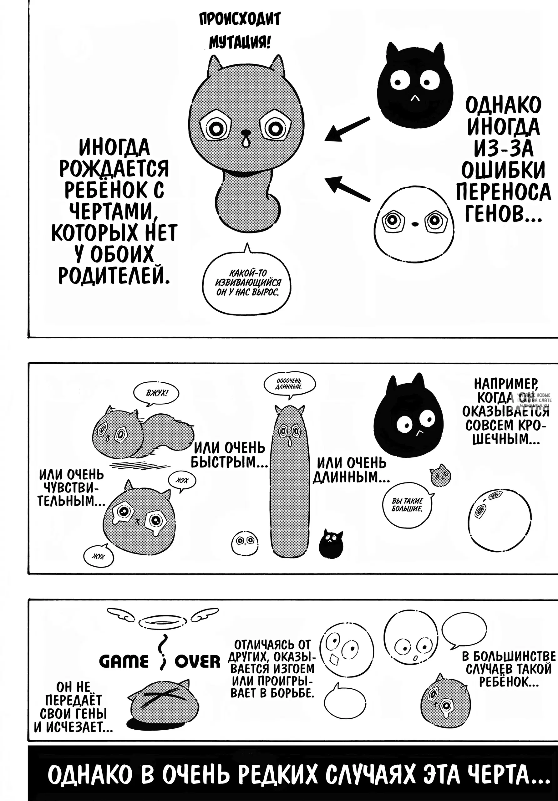 Page 4.000