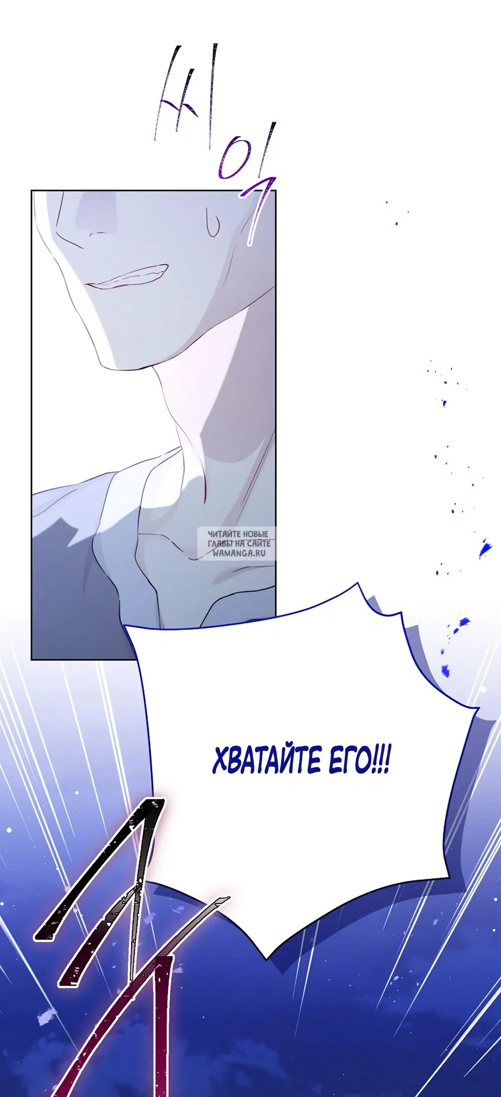 Page 43.000