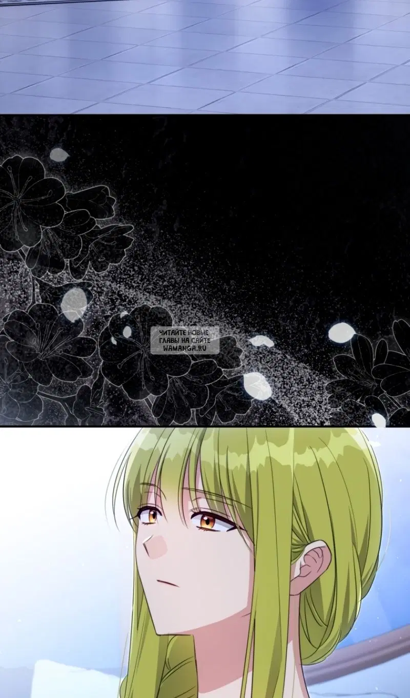 Page 40.000