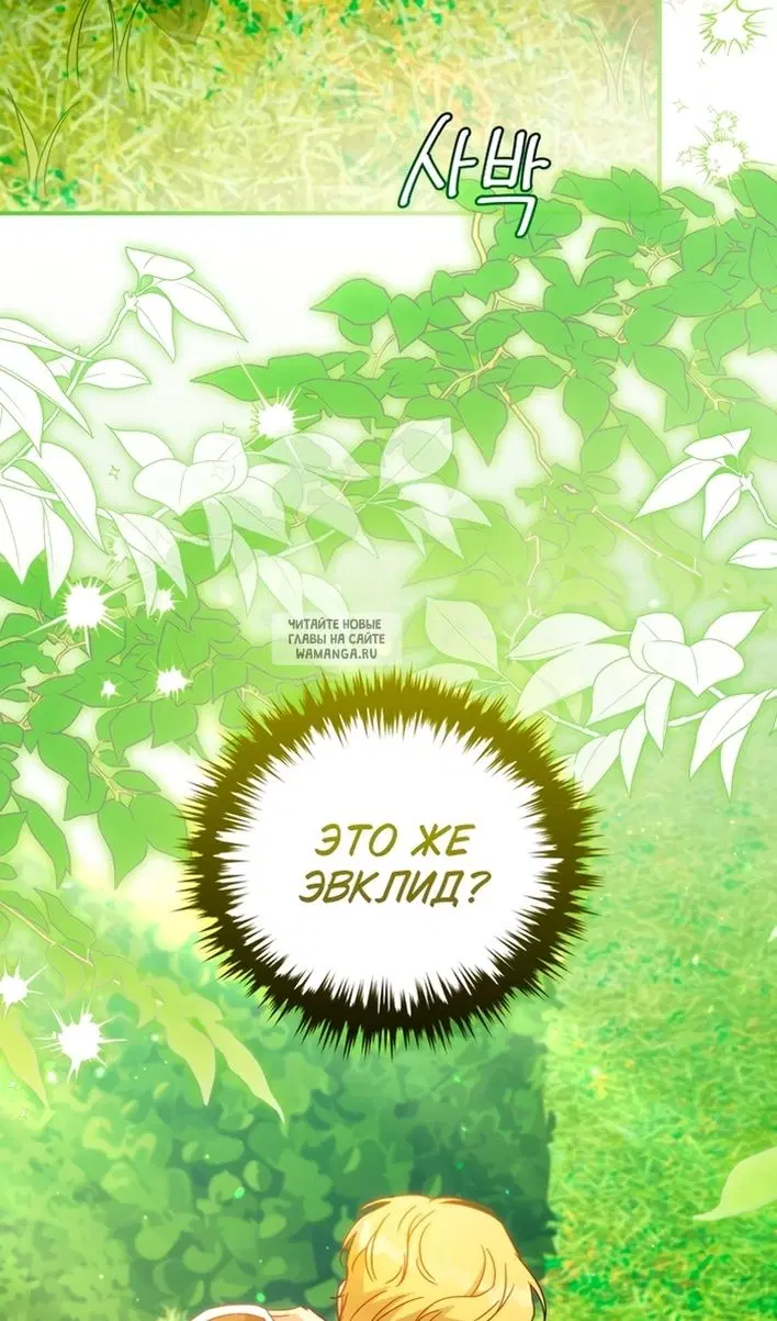 Page 51.000