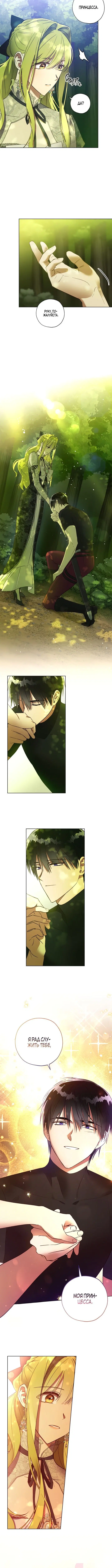 Page 5.001