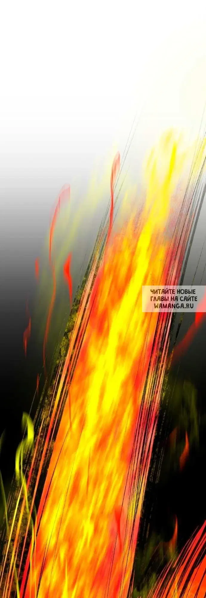 Page 41.000