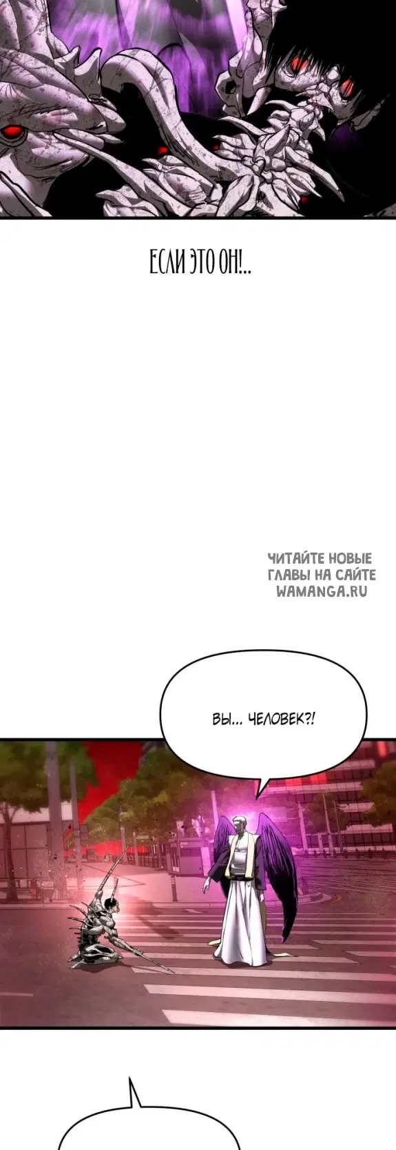 Page 50.000