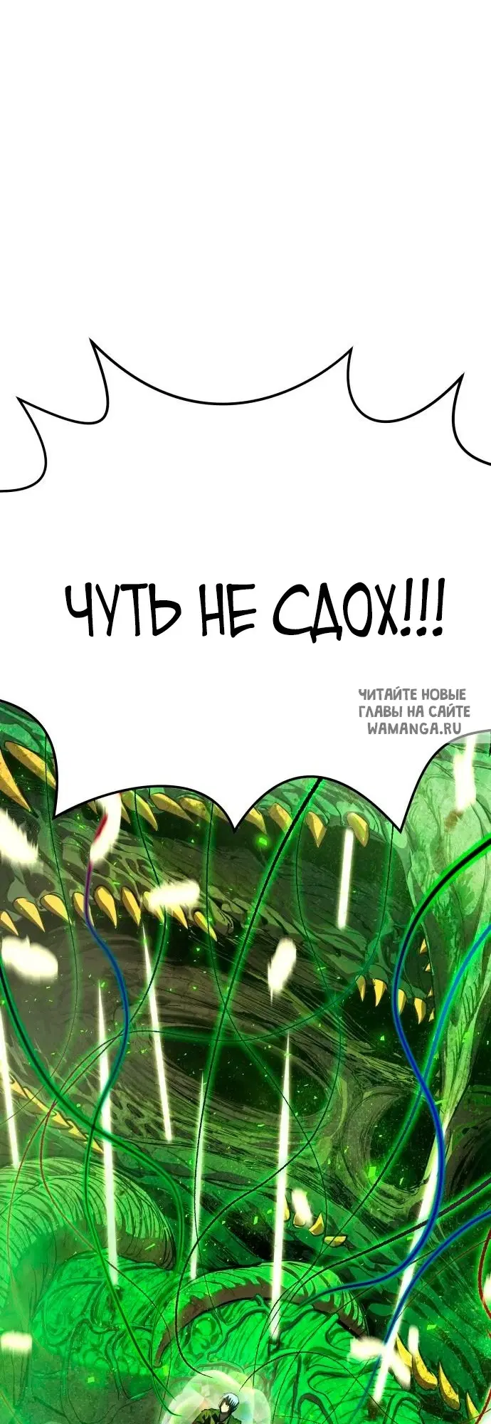Page 81.000
