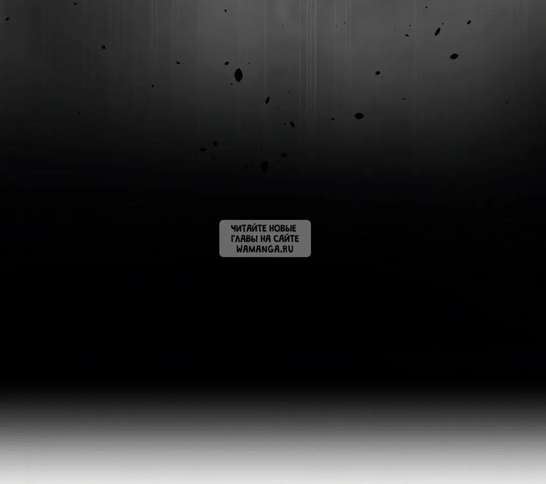 Page 36.000