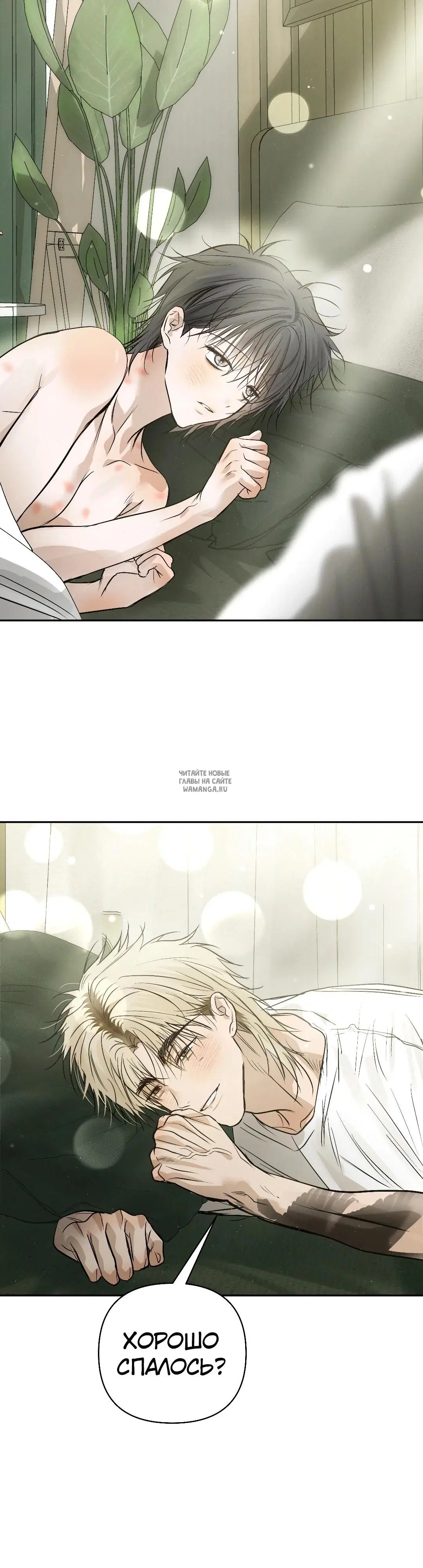 Page 43.000