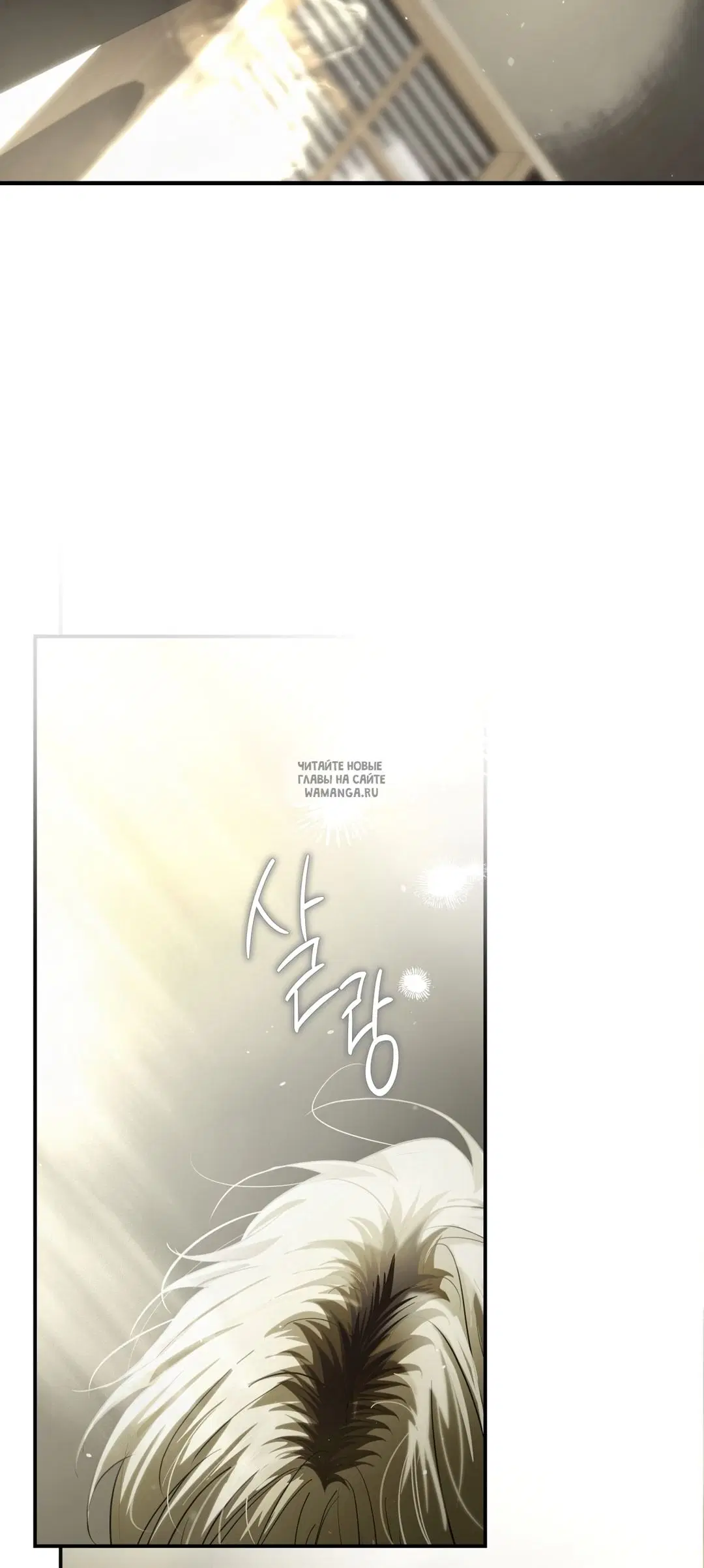 Page 81.000