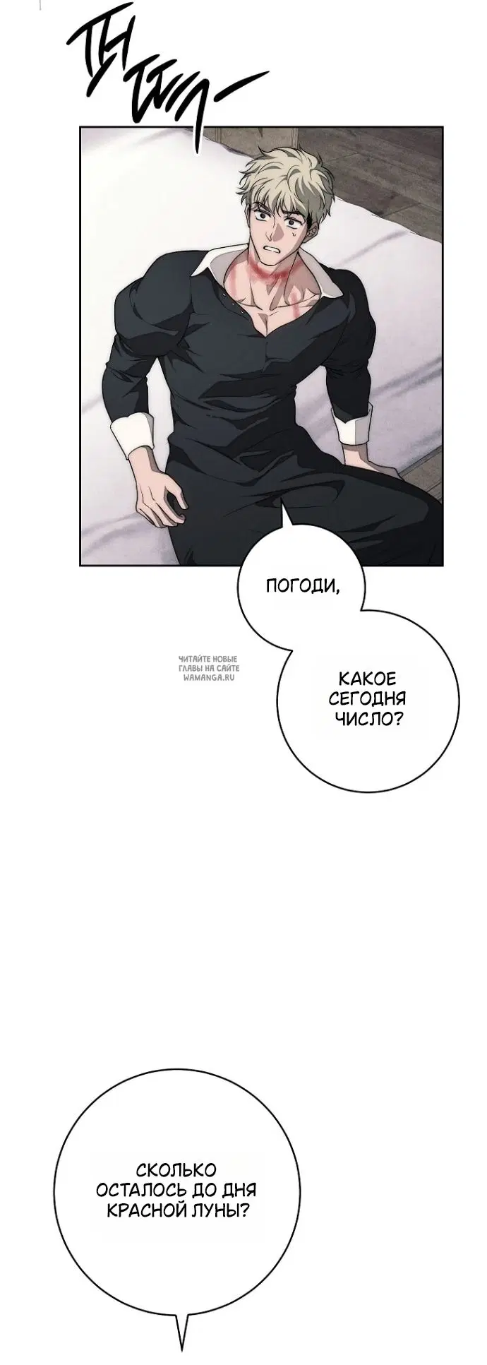 Page 41.000