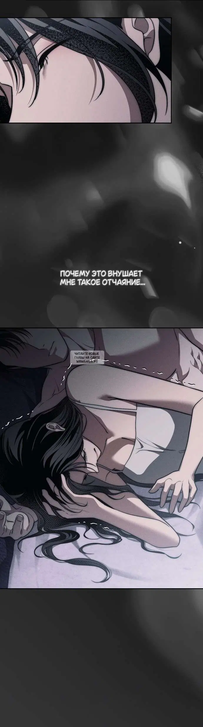 Page 53.000
