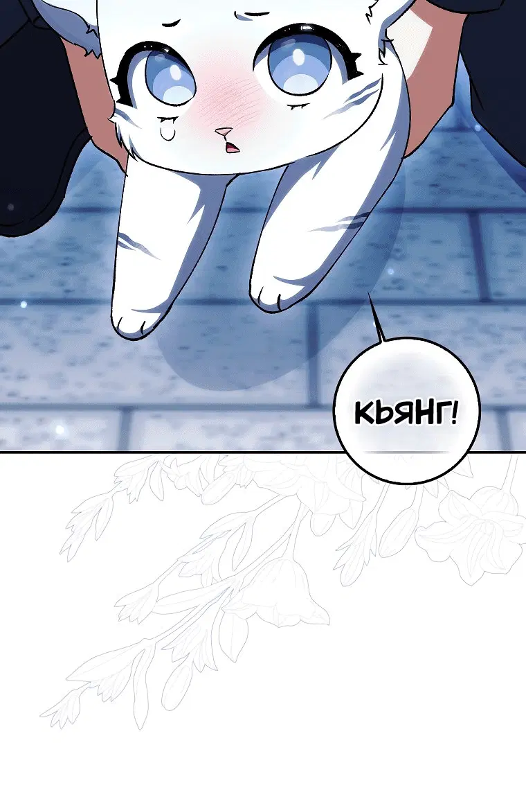 Page 11.001