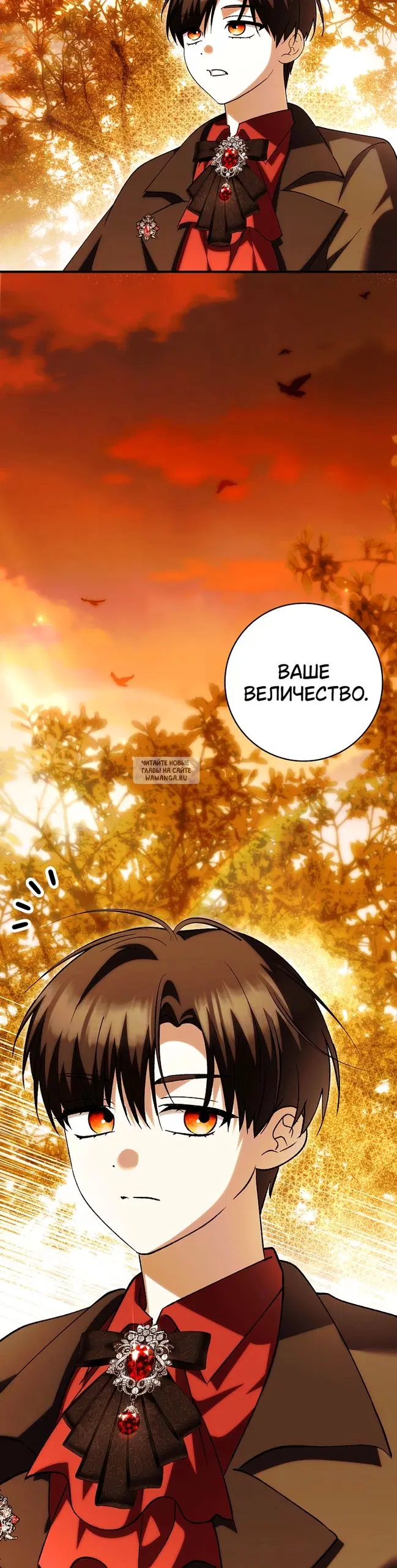 Page 41.000