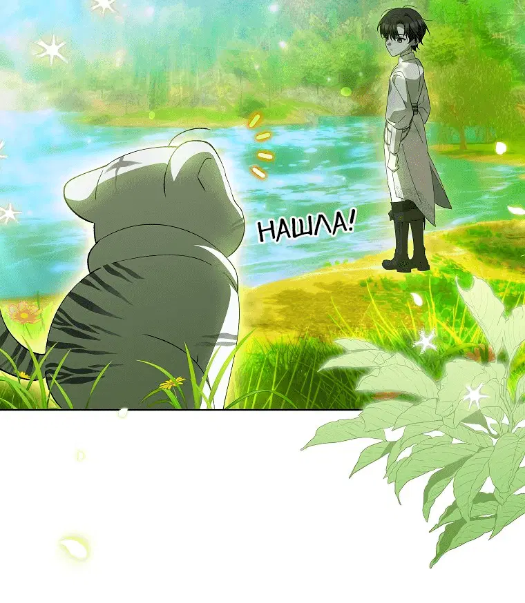Page 5.001