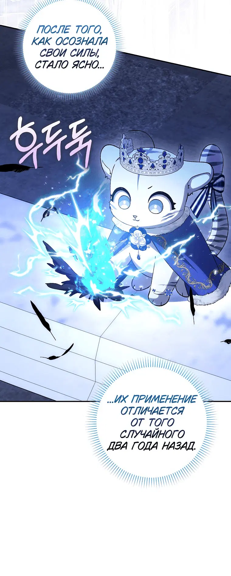 Page 5.001