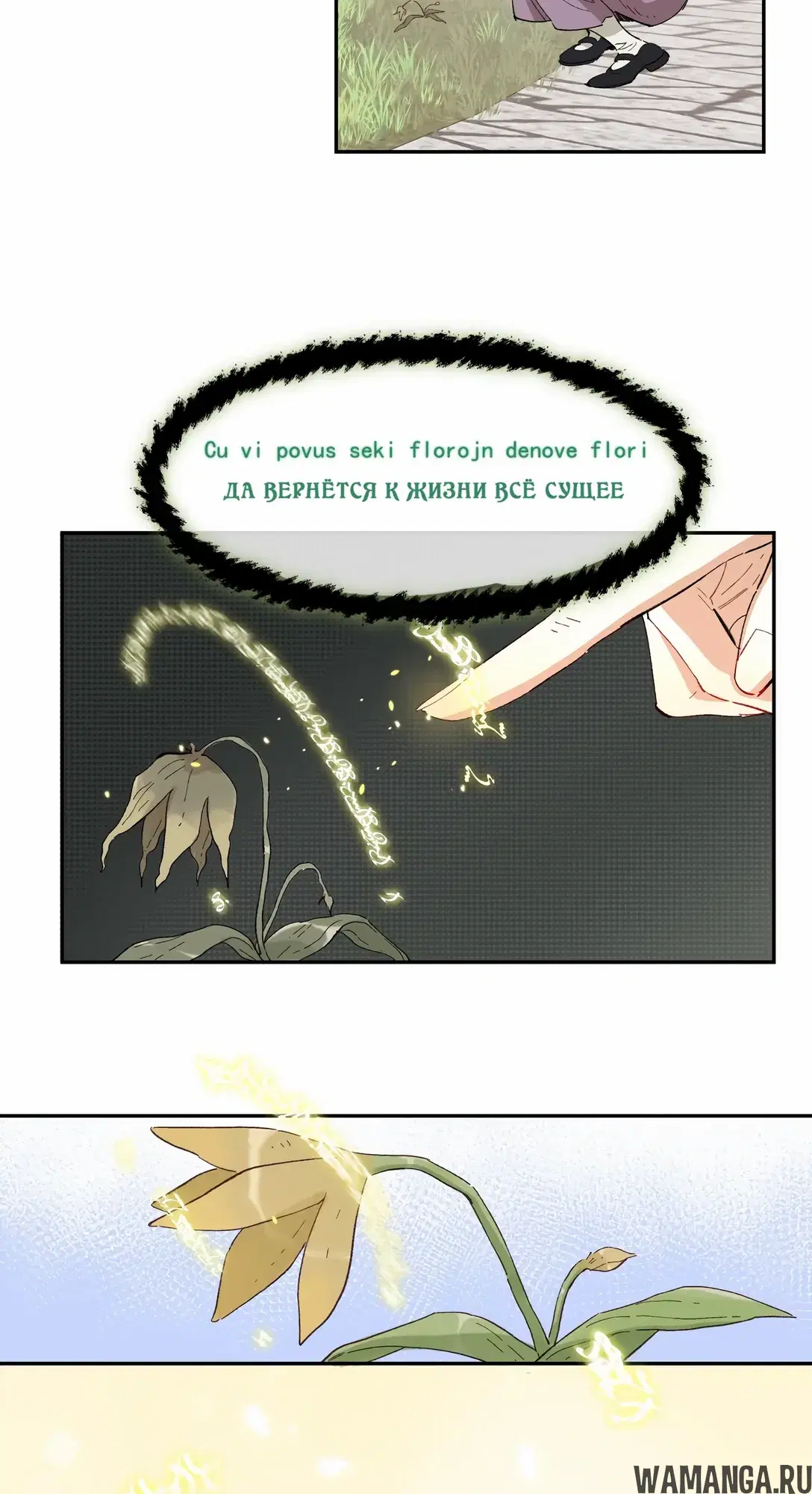 Page 41.000