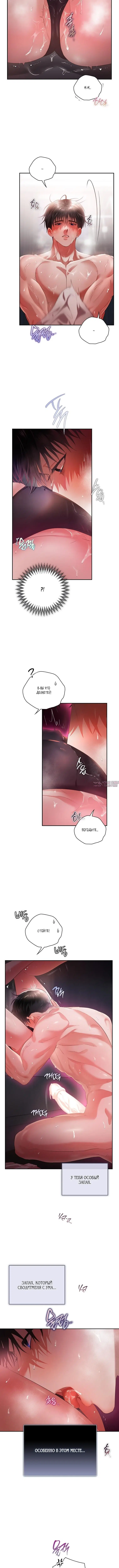 Page 5.001