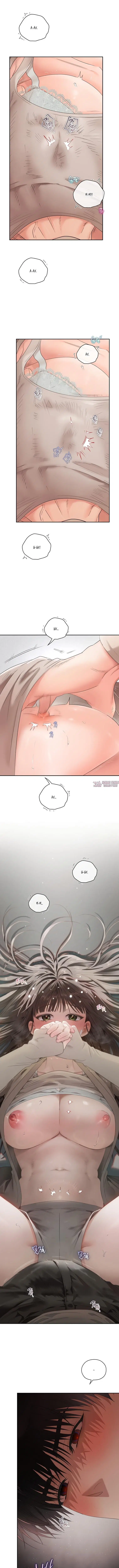 Page 5.001