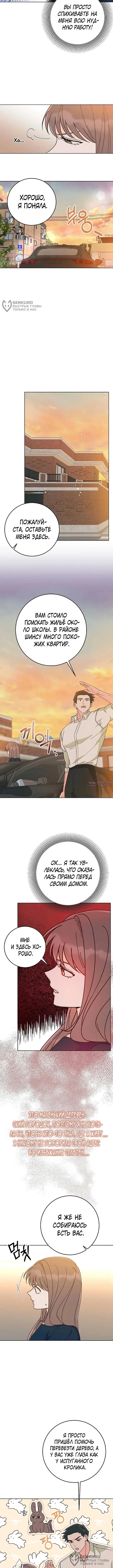 Page 8.000