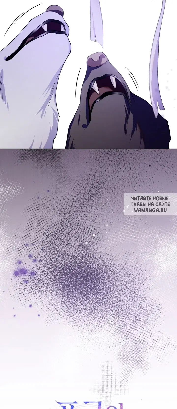 Page 23.000