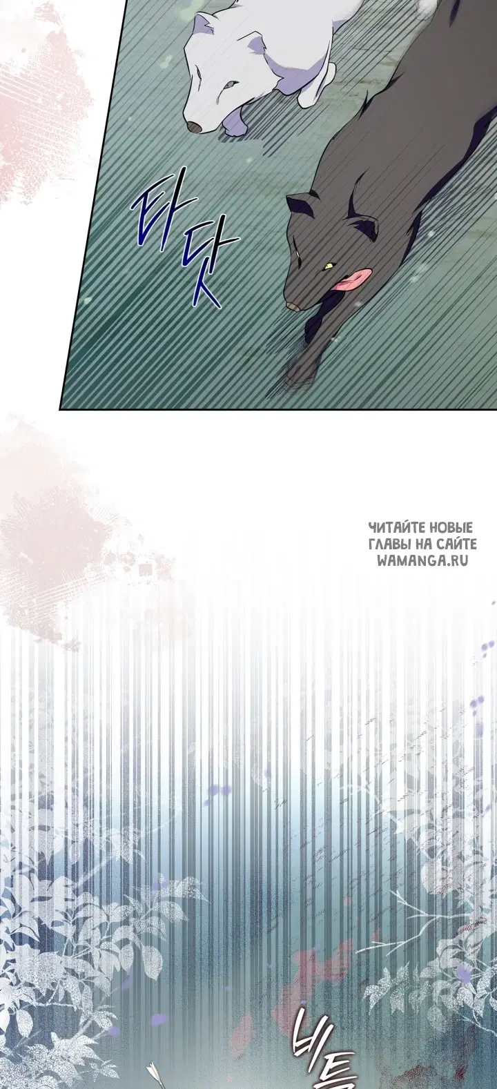 Page 38.000