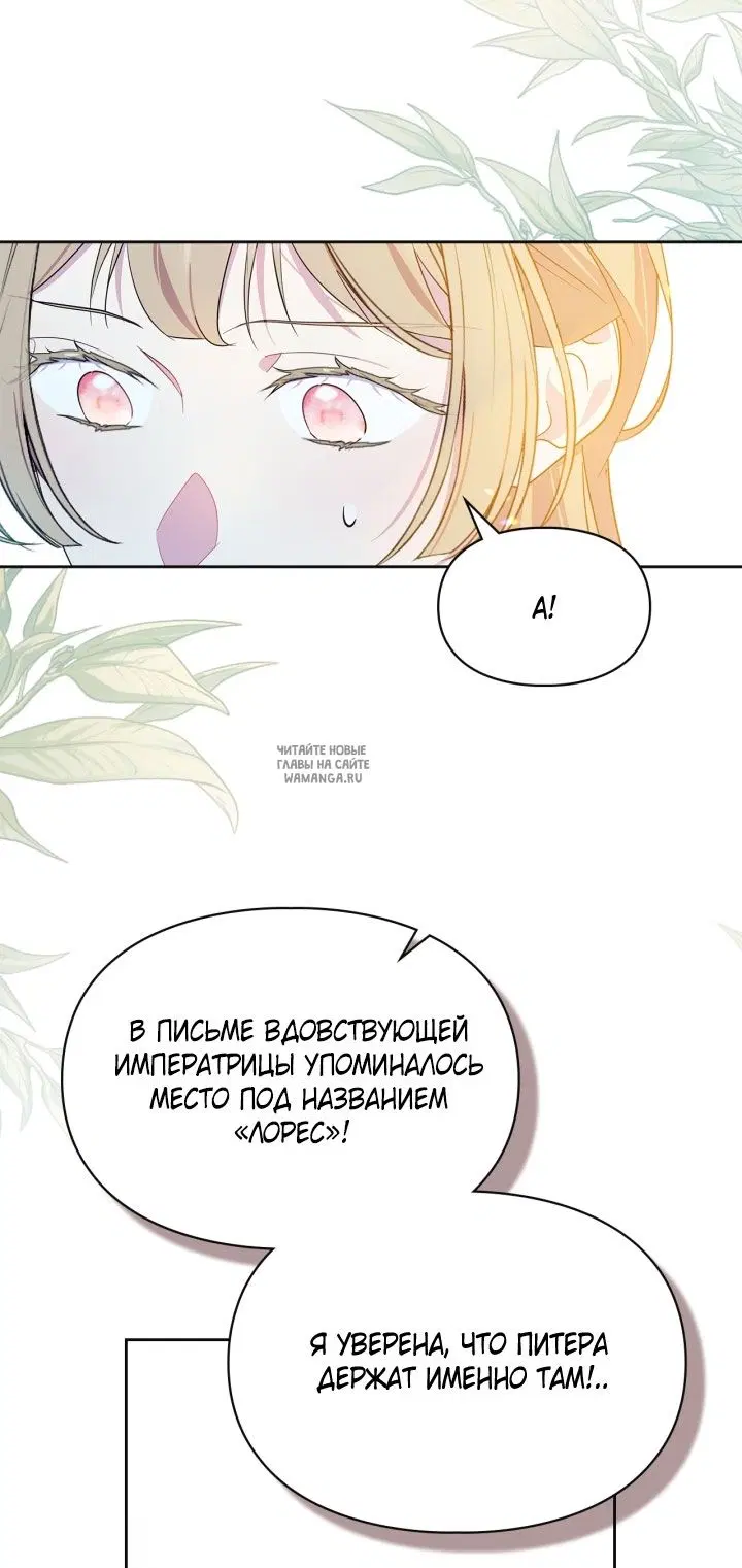 Page 55.000