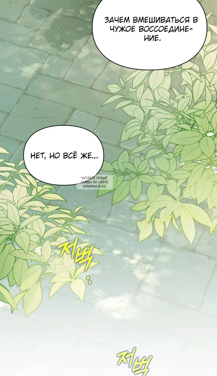 Page 55.000
