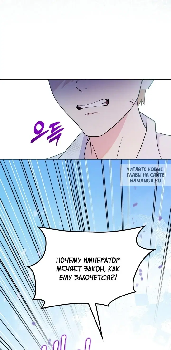 Page 50.000