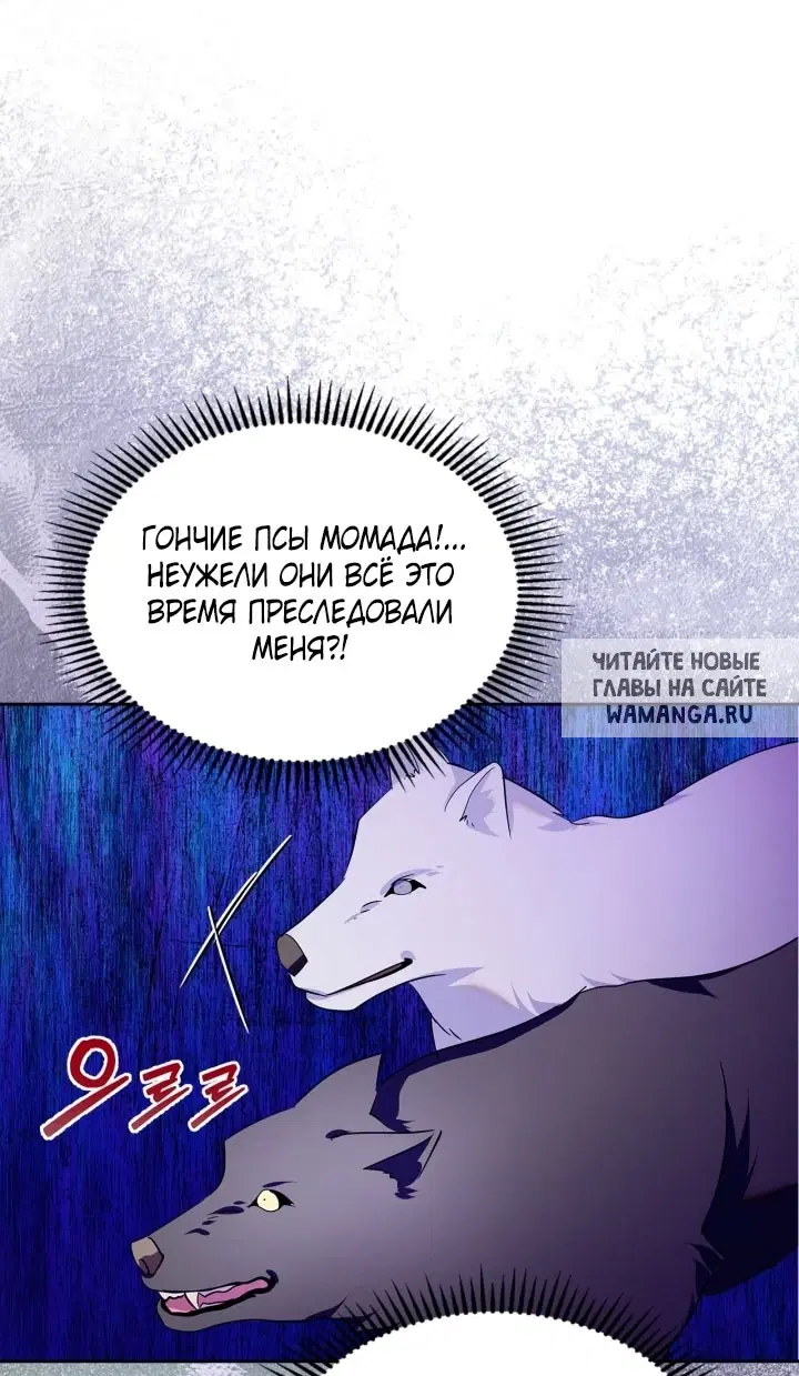 Page 50.000