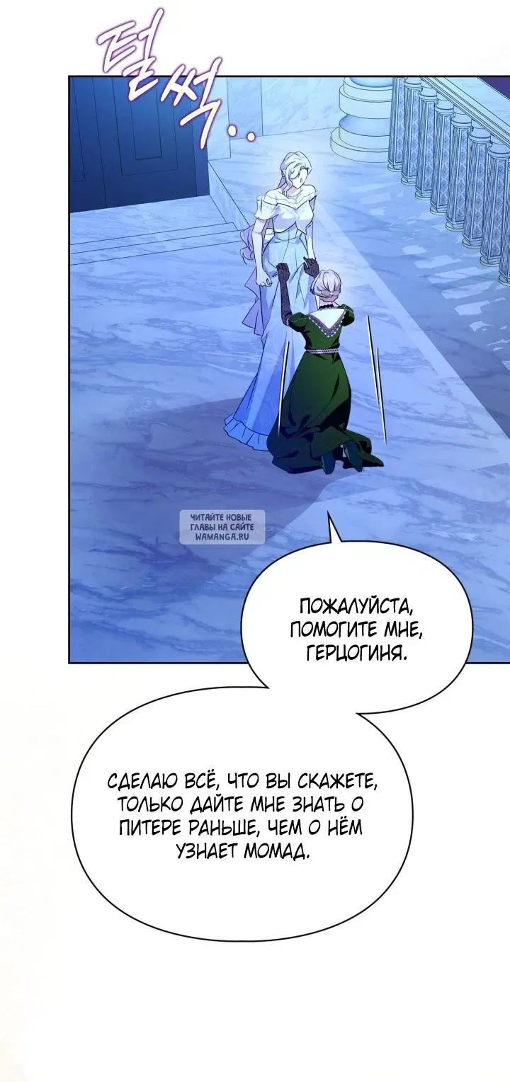 Page 50.000