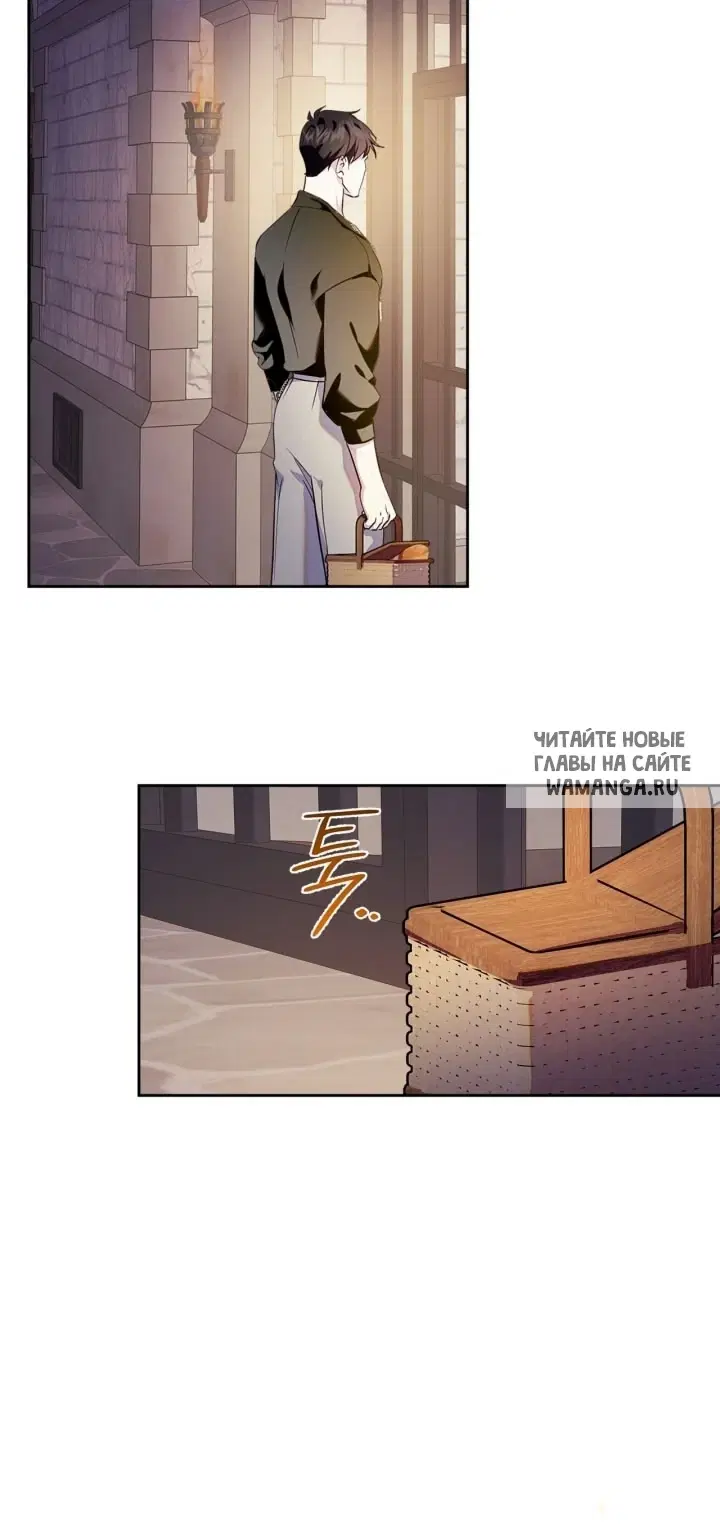 Page 51.000