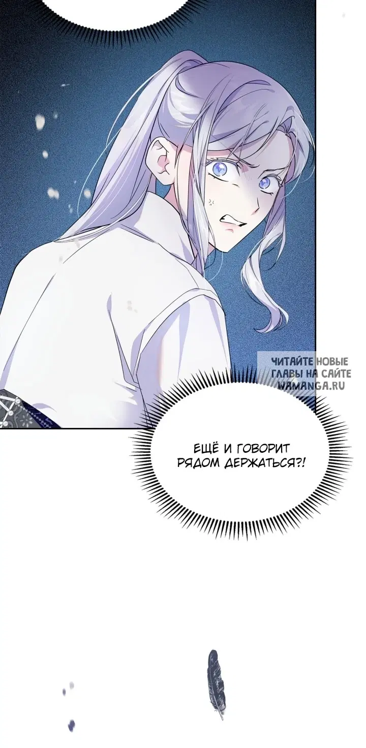 Page 51.000