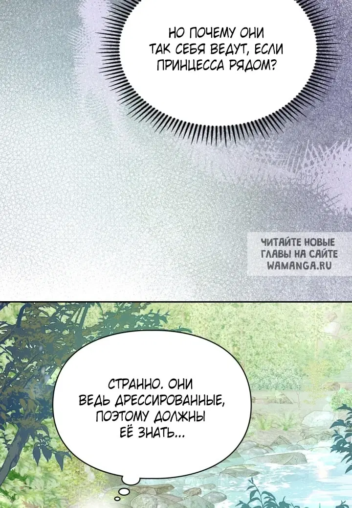 Page 51.000
