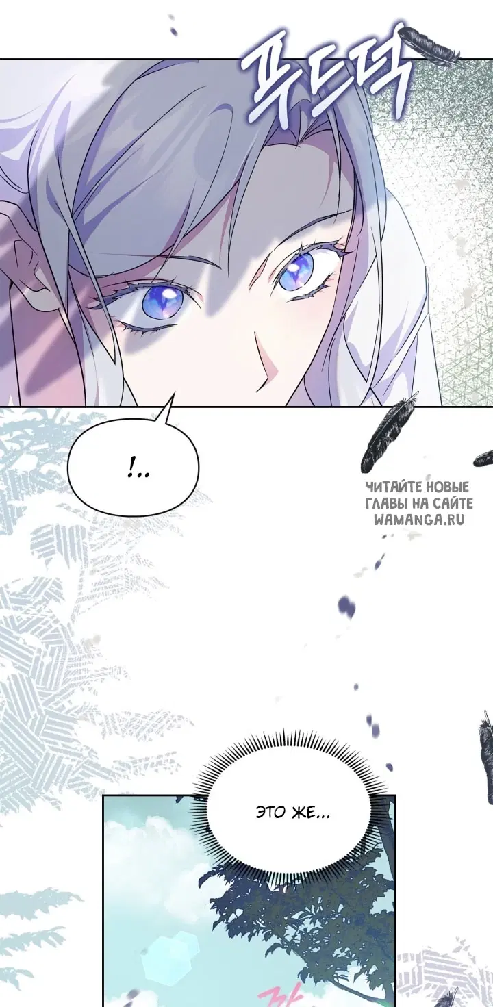 Page 52.000