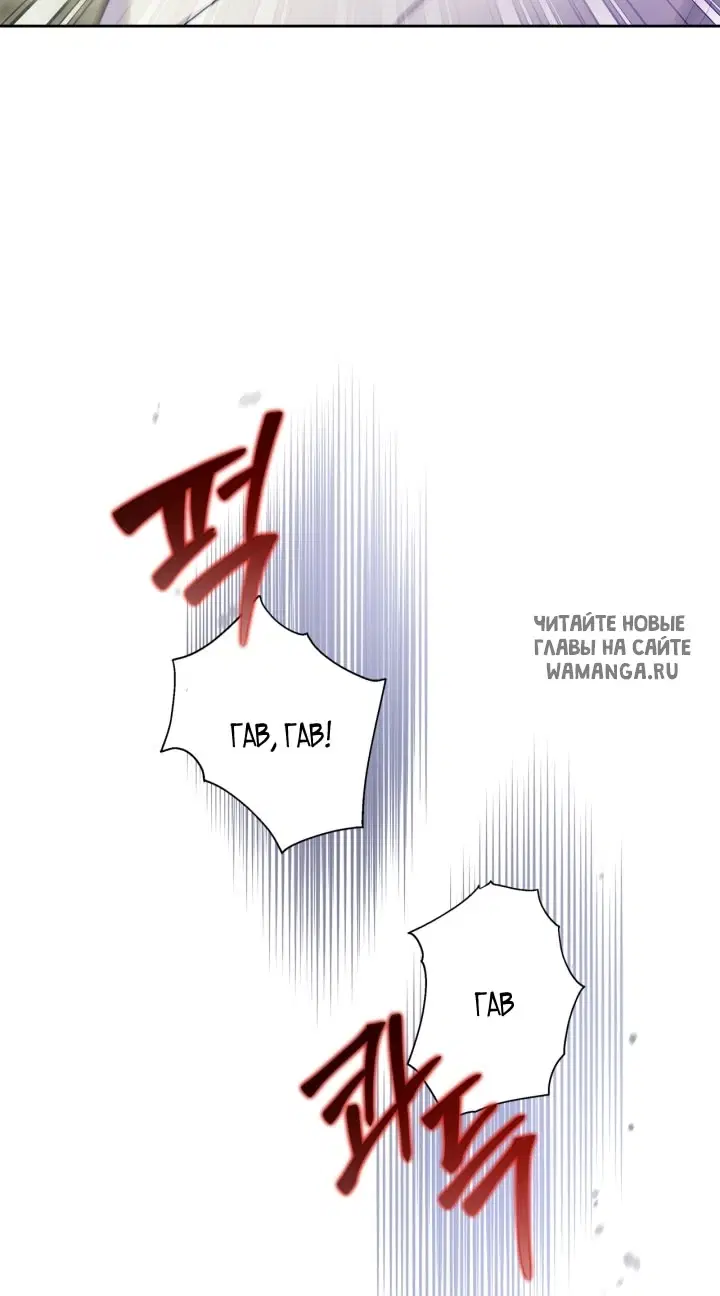 Page 65.000
